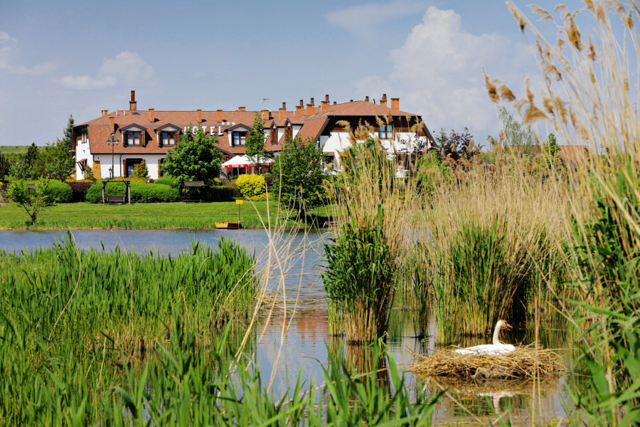 гасцініца ў Польшчы Богуцин Люблин 02